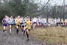 Intermediate girls Northern Inter Counties Schools Cross Country, Stockton. Photo: David T. Hewitson/Sports for All Pics